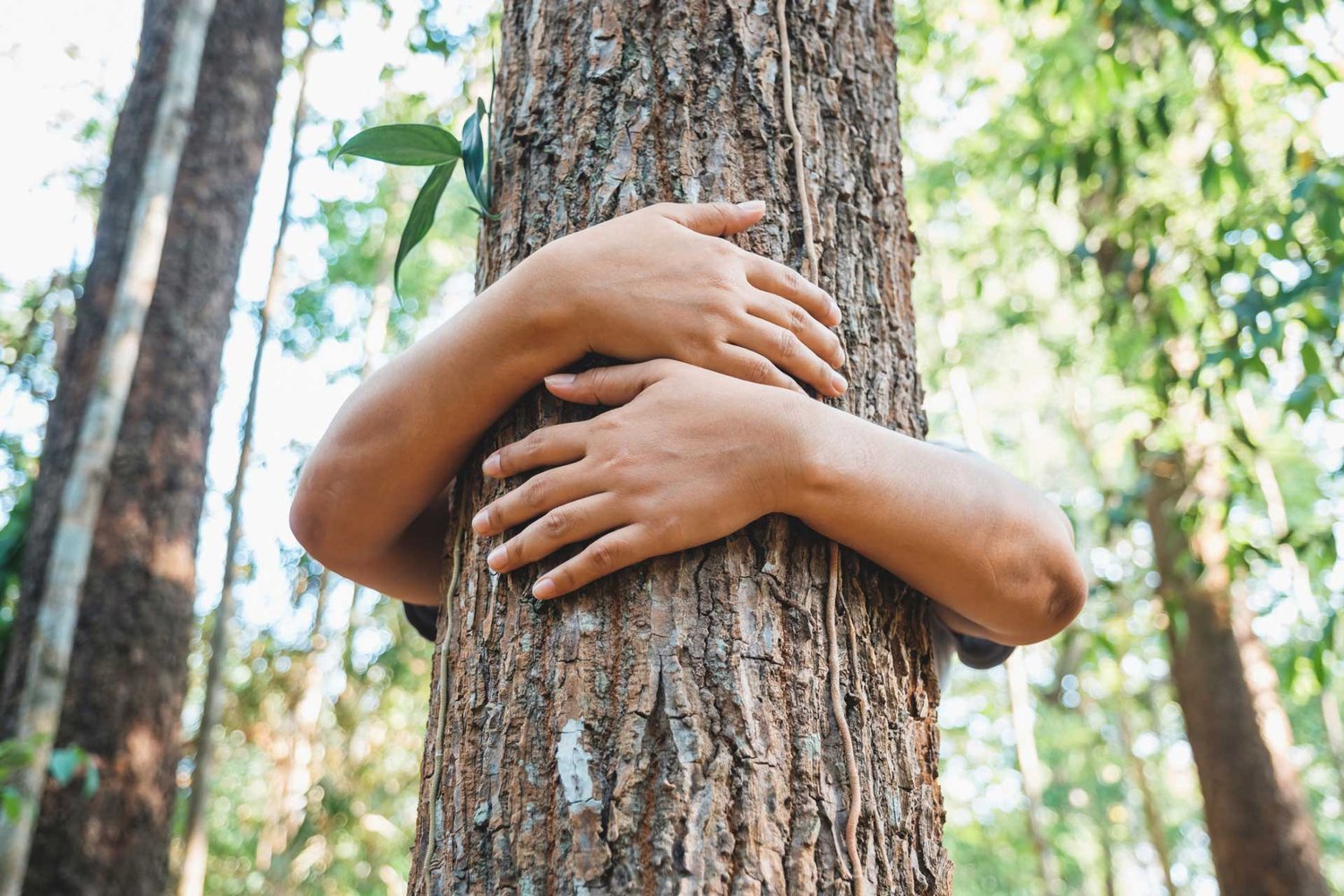 Supporting nature and bio diversity