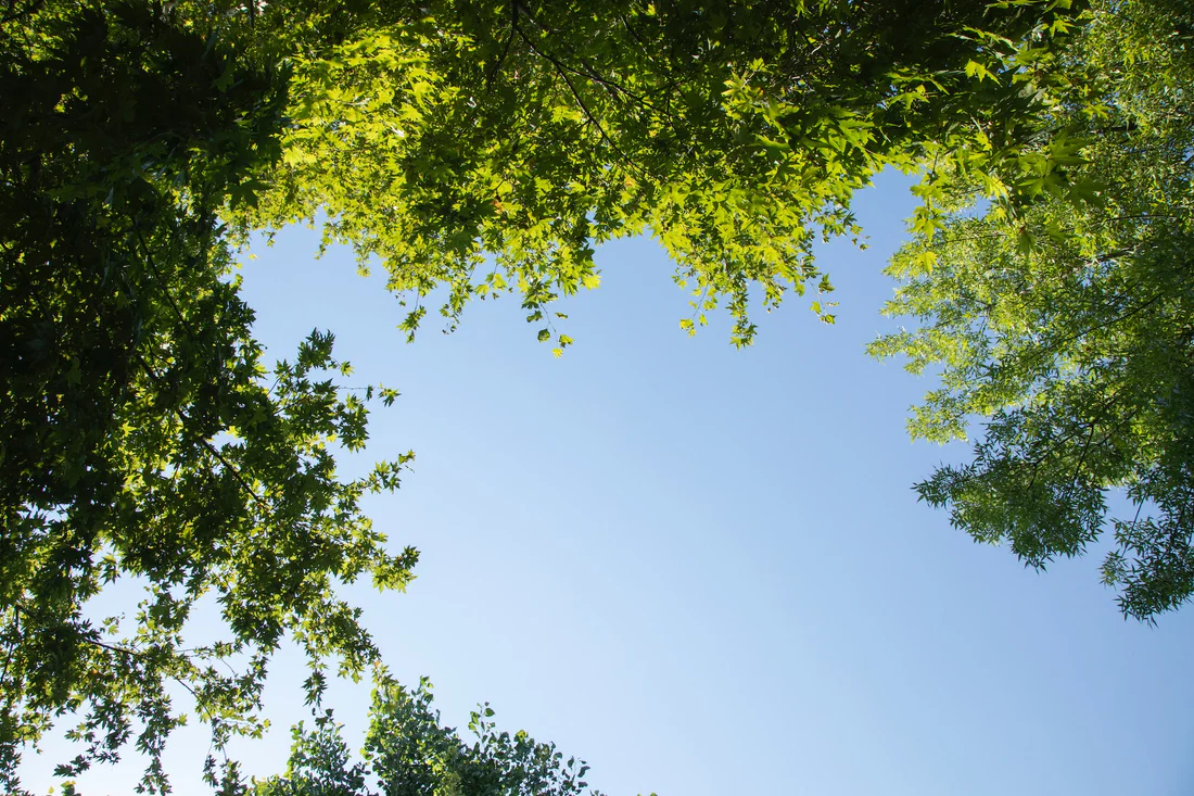 Sustainability