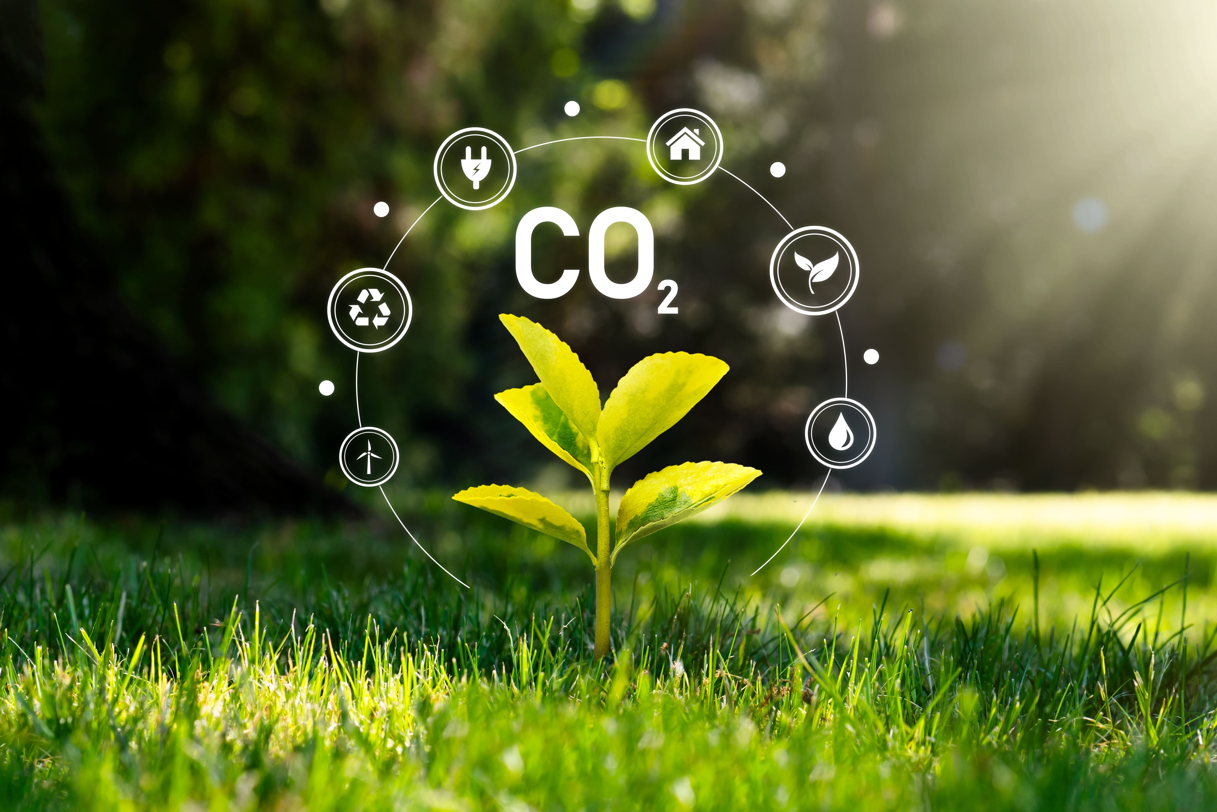 Low Carbon solutions